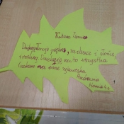 Liście jak listy_27