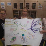 TEG 2019_7