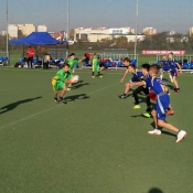 Złoto w rugby-tag_14