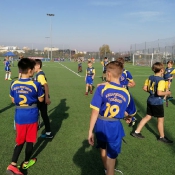 Złoto w rugby-tag_5