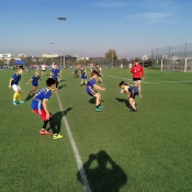 Złoto w rugby-tag_6