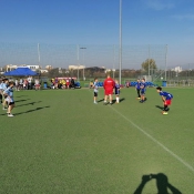 Złoto w rugby-tag_7