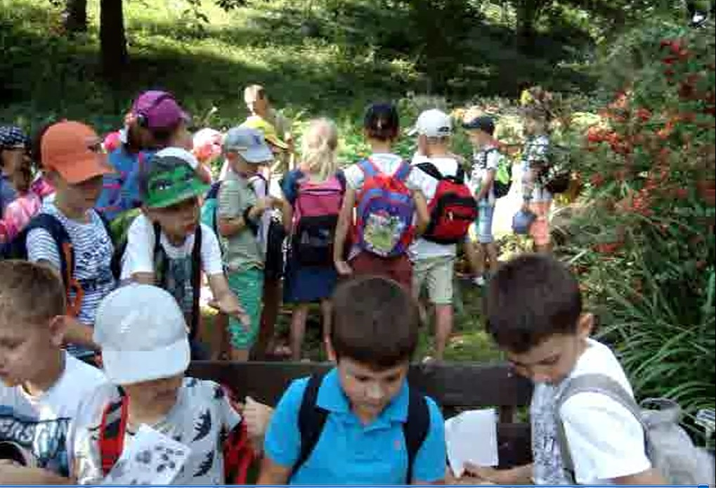 ogród botaniczny